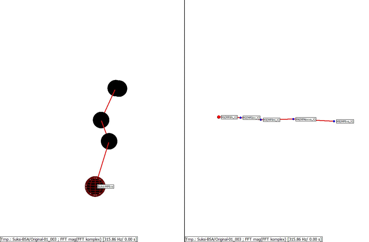 Standbild aus der Originalanimation bei 315,86 Hertz. Sie visualisiert die aus der Operational Vibration Analysis abgeleitete Schwingform des Ausgangsski über die Messpunkte.