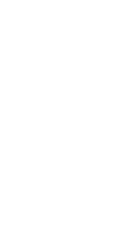 ELMAR