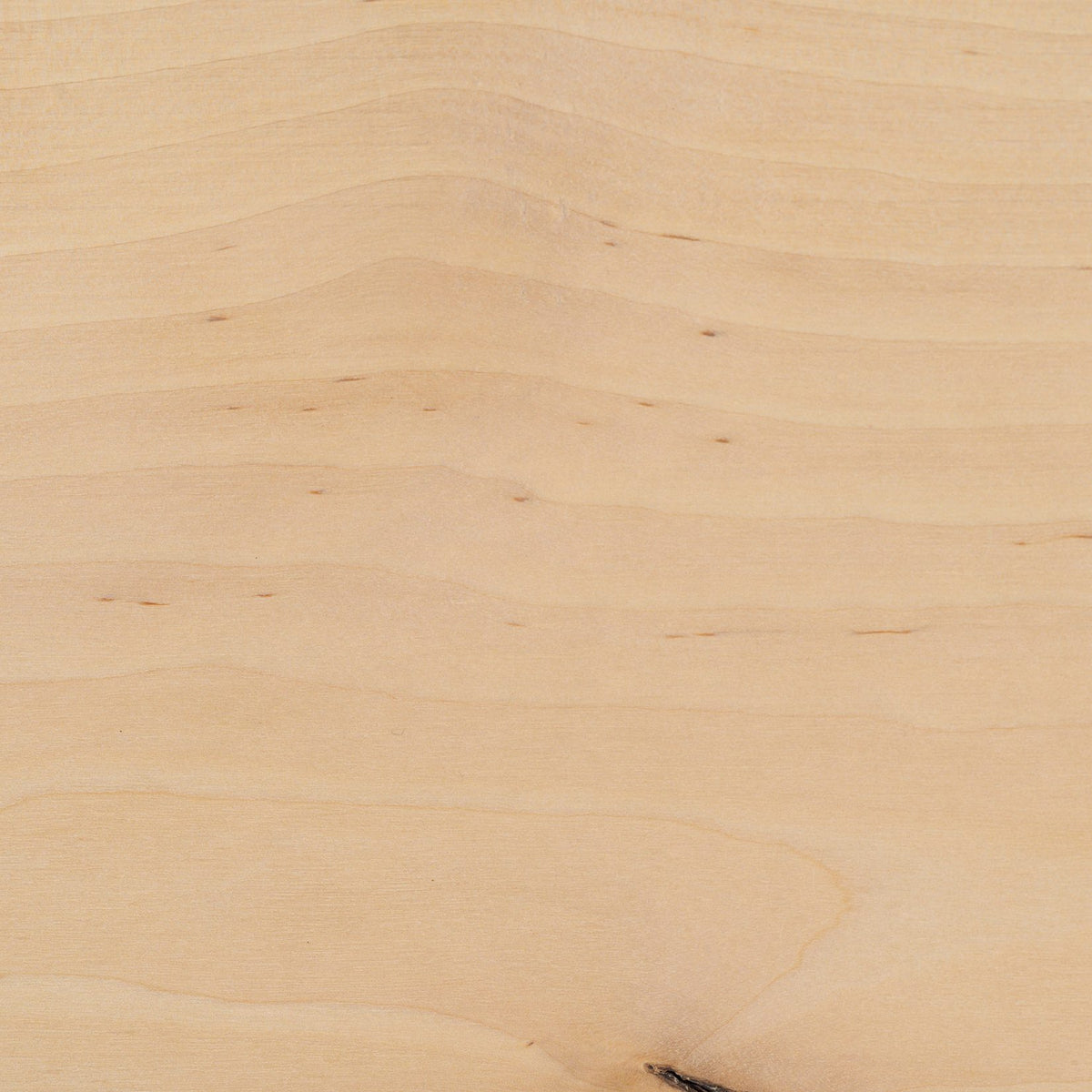 FreiRaum Holz Birke