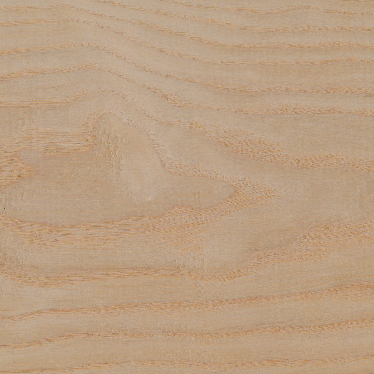 FreiRaum Holz Esche